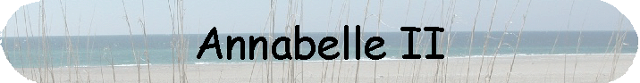 Annabelle II